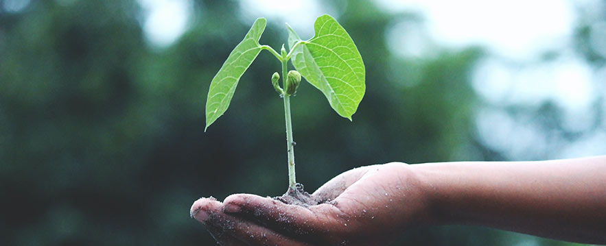 Nuevas medidas de responsabilidad ecológica en nuestra fábrica de Tarragona